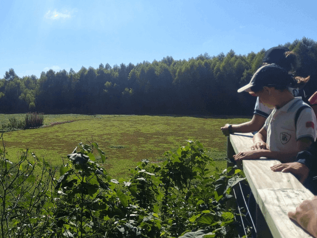 20250327 - RESERVA ECOLOGICA (Primaria)